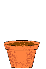 gif1
